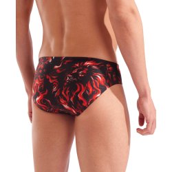 Arena - Men's Swim Briefs Indomitus Capsule