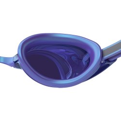 Speedo - Vanquisher 3.0 Mirrored