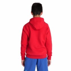 Arena - JR TEAM HOODED SWEAT PANEL (BOMULD) RED