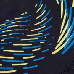 Speedo - Boys Plastisol Placement Aquashort